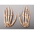 Skeletons And More Skeletons and More SM376DA Aged Skeleton Hands  Left and Right SM376DA